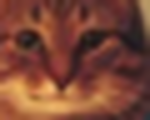Metaᅠᅠᅠ Group Thumbnail