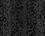 binary usernames