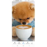 Pup Love Group
