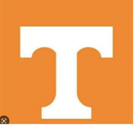 THE TENNESSEE PEOPLE
