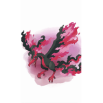 the offical DarkBeak Fan Club