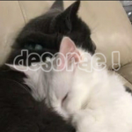 desorae