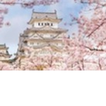 Empire of Sakura
