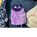 Weird cat brain