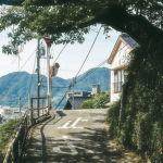 Background Shop