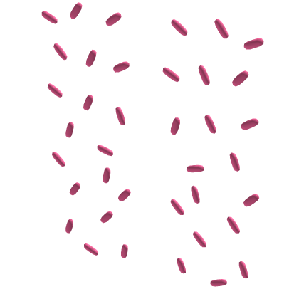 colorful tweencore sprinkles