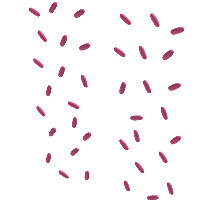 colorful tweencore sprinkles