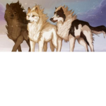 The Wolfie pack