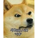 댕댕이의친구들