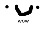 Echo Fans