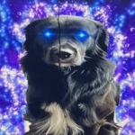 SilentNova