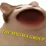 THE MNGWA GROUP