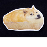 Doge Doge Doge 911