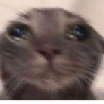 Nichibotsu