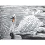 !Swans!