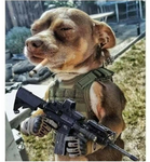 Doggo United army