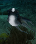 Very ñòřmàľ group