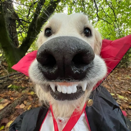 😜