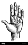 white hands are made