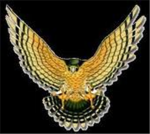 the B.F government