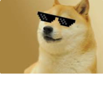 The cool small Doges