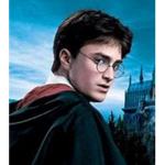 Harry Potter Fan Roblox Group