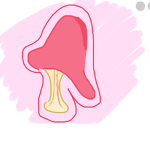 Red mushroom inc.