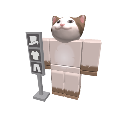 Meme cat