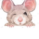 RATS NEVER WILL BE GONE