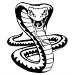Flaming Cobras ( F.C)