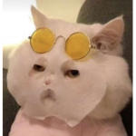 Hey mais cookie