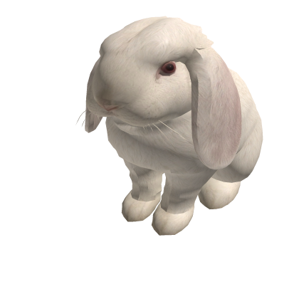 white cutesy lop bunni 