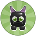 Black Cat Pet