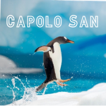 Capolo San