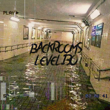 The Backrooms Level 130 'Subwater'