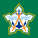 Sоuth African Defence Force