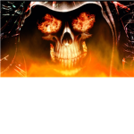 N.O.N.K