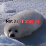Not Day's Studios