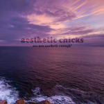 a e s t h e t i c - c h i c k s