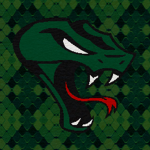Rifles Venom 15th
