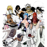 13 Gotei:espada fraccions