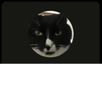 farm simulator group