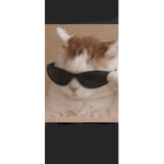 TTSIKA