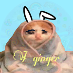 I ginger