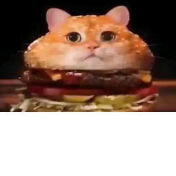 cat burg