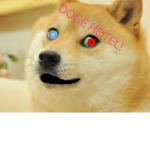 Doge Hotel Community
