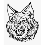 wildcat mountain