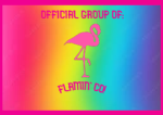 Flamin' Co!