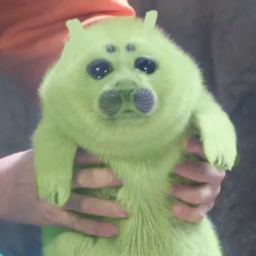 seal land
