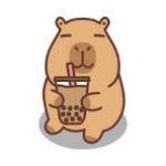 Cute capybara group!!!